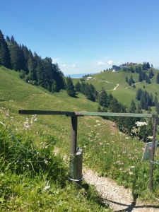 La fin du sentier botanique