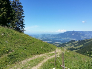 Descente de Gros-Moléson à Petit-Moléson