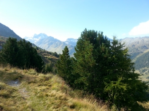 Début du sentier