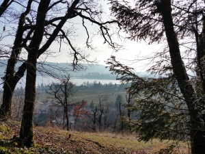 Vue en montant de chemin de la Cascade