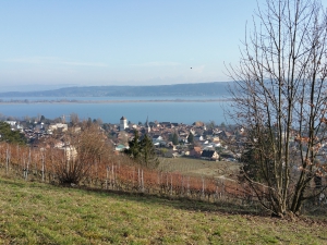 Vue depuis le chemin des Blanchardes