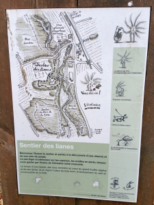 Plan du sentier des lianes