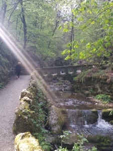 Rayon de soleil dans la montée des gorges