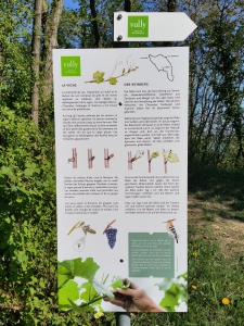 Panneau concernant la vigne