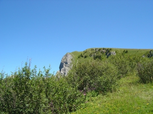 Quelque part le long du sentier...