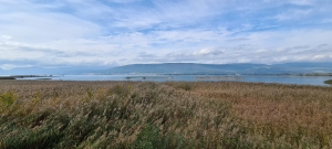 Vue depuis la plate-forme d'observation du Fanel