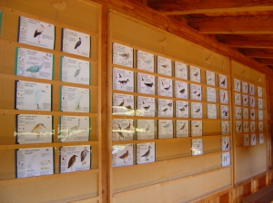 Cartes d'identités de plusieurs oiseaux