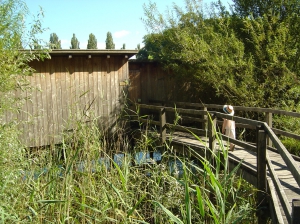 Passerelle et observatoire