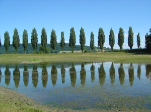 Le grand étang