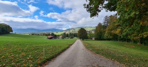 Retour par la route goudronnée