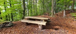 Table de pique-nique, Sur le Mont