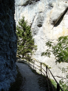 Sentier dans les gorges de Covatannaz