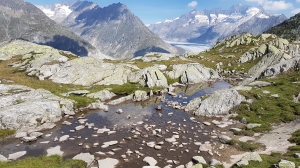 Petit point d'eau le long du chemin