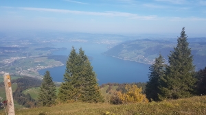 Le lac de Zoug