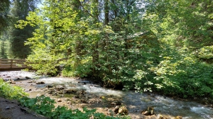 Le sentier apicole longe la Vièze