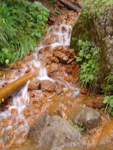 La source ferrugineuse