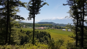 Vue dégagée sur les Alpes