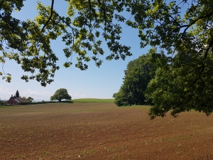 Peu après le Plan Jacot