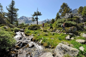 Jardin japonais