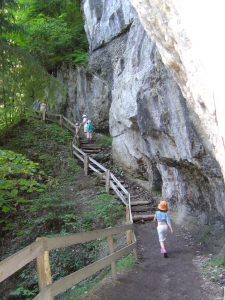 Le début de sentier