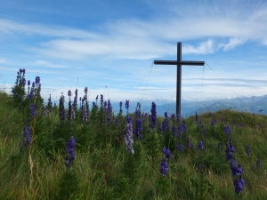 Croix de la Seya et aconit napel