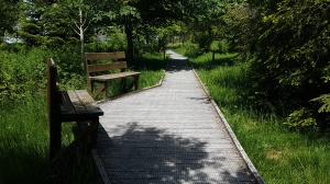 Chemin agréable et bancs