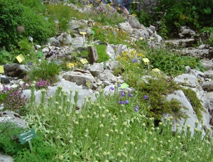 Le jardin alpin