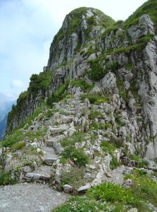 Le jardin alpin: La Rambertia