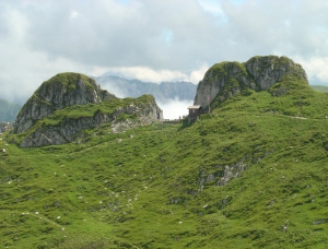 Entre les rochers, le jardin alpin