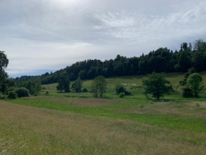 Autour du Rotsee