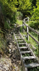 Un escalier, en montant le sentier