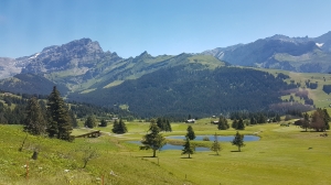 Le golf, aperçu depuis le train