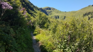 Sentier contournant le lac de Bretaye