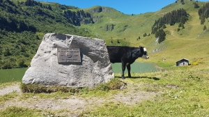 Vers le lac de Bretaye