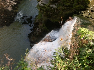 Vue sur le Saut-du-Doubs depuis le côté français