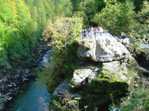 Point de vue sur le Saut-du-Doubs