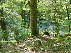 En contrebas, le Doubs peu avant la chute