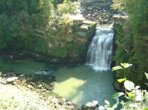 Vue sur le Saut-du-Doubs depuis le Belvédère