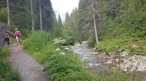 Sur le chemin des ponts