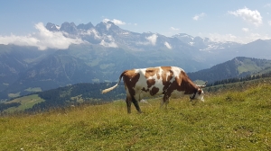 Les Dents du Midi