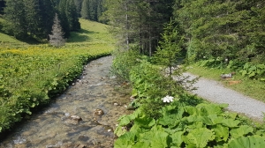 Le sentier longe la rivière