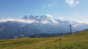 Les Dents du Midi, depuis la Foilleuse