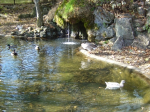 La mare aux canards