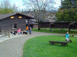 Le parc des chèvres