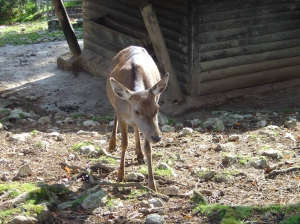 Un tête à tête plutôt sympa