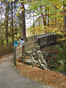 Dans le parc du Bois du Petit Château