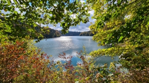 Le lac de la Gruyère