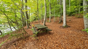 Table de pique-nique