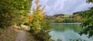 Sentier agréable le long du Lac de la Gruyère