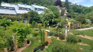 A Neuchâtel, le jardin botanique et les serres